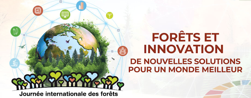 edd_besancon's tweet photo. Aujourd'hui, 21 Mars, c'est la Journée internationale des forêts ! Une occasion de célébrer la forêt, l’arbre et le bois.
Pour l’édition 2024, le thème est : “ Forêts et innovation : de nouvelles solutions pour un monde meilleur ”.
https://t.co/n75zFs3JB8 https://t.co/umIsWzOgPk