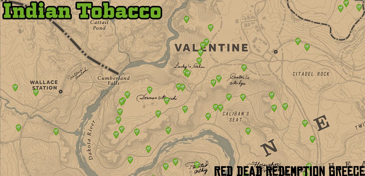 🗓️Daily Challenges Feb.23, 2024 📌Locations: Herons, Indian Tobacco,  Shaky, Wolves #RedDeadOnline #RedDeadDailies #RDO #RedDeadRedemption  #DailyChallenges #Dailies #RockstarGames #MadamNazar