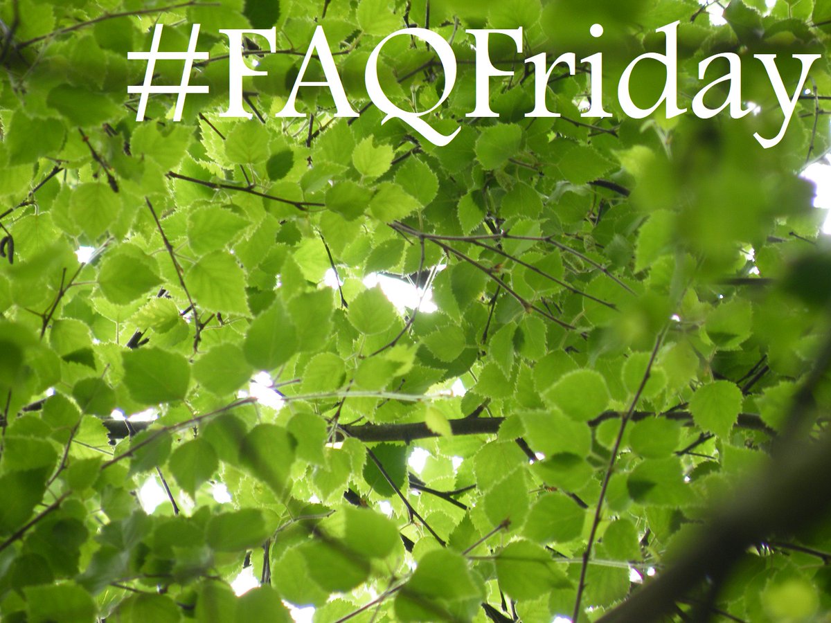 #FAQFriday Do you have something that you have always wanted to ask the team at Woodlore? We will soon be starting a series of FAQ and answer posts on a Friday. Please comment below with your burning questions and each week we will answer some of them for you. #AskWoodlore