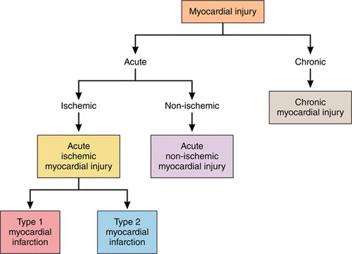 There are 2 concepts that I would like to share. First, difference between myocardial injury and infarction rests on patient’s symptoms.