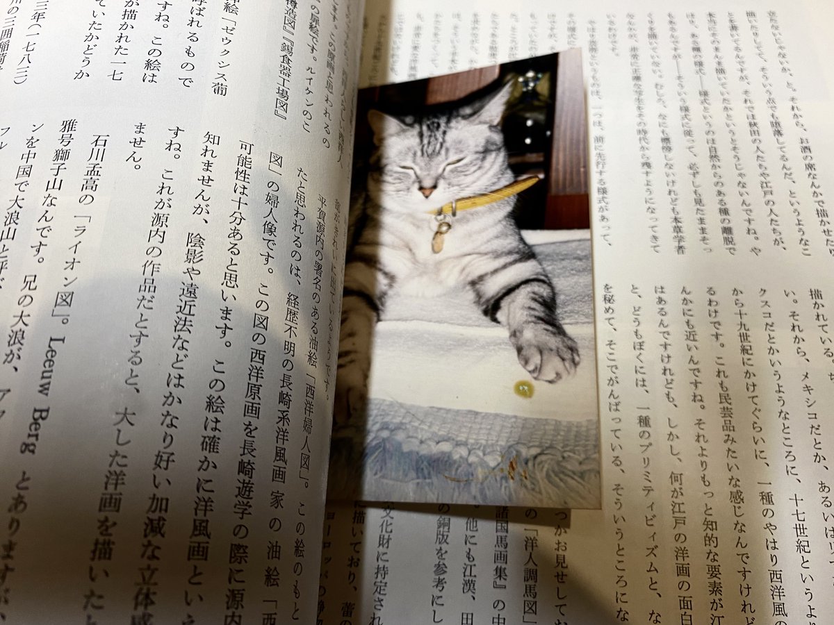 ito3com's tweet photo. ネット経由でとある古本屋で買った雑誌を開いたら、一枚のスナップ写真が出てきた。おそらく栞がわりにしてたんだろうと思われるその写真には、一匹の猫が映っていた。もし本来の持ち主の方がいらっしゃったら是非お返ししたいが、40年ぐらい前に刊行された出版物なので果たして…？ https://t.co/eXcQzWXHFI