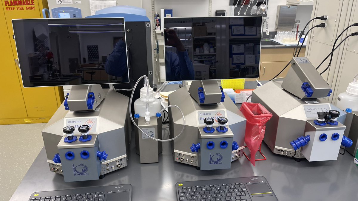 TheRasmussenLab's tweet photo. Upgraded our high resolution respirometry capabilities in the lab. PhD student @ErikDMarchant is excited!  @OroborosI https://t.co/ByCZXC0qL6