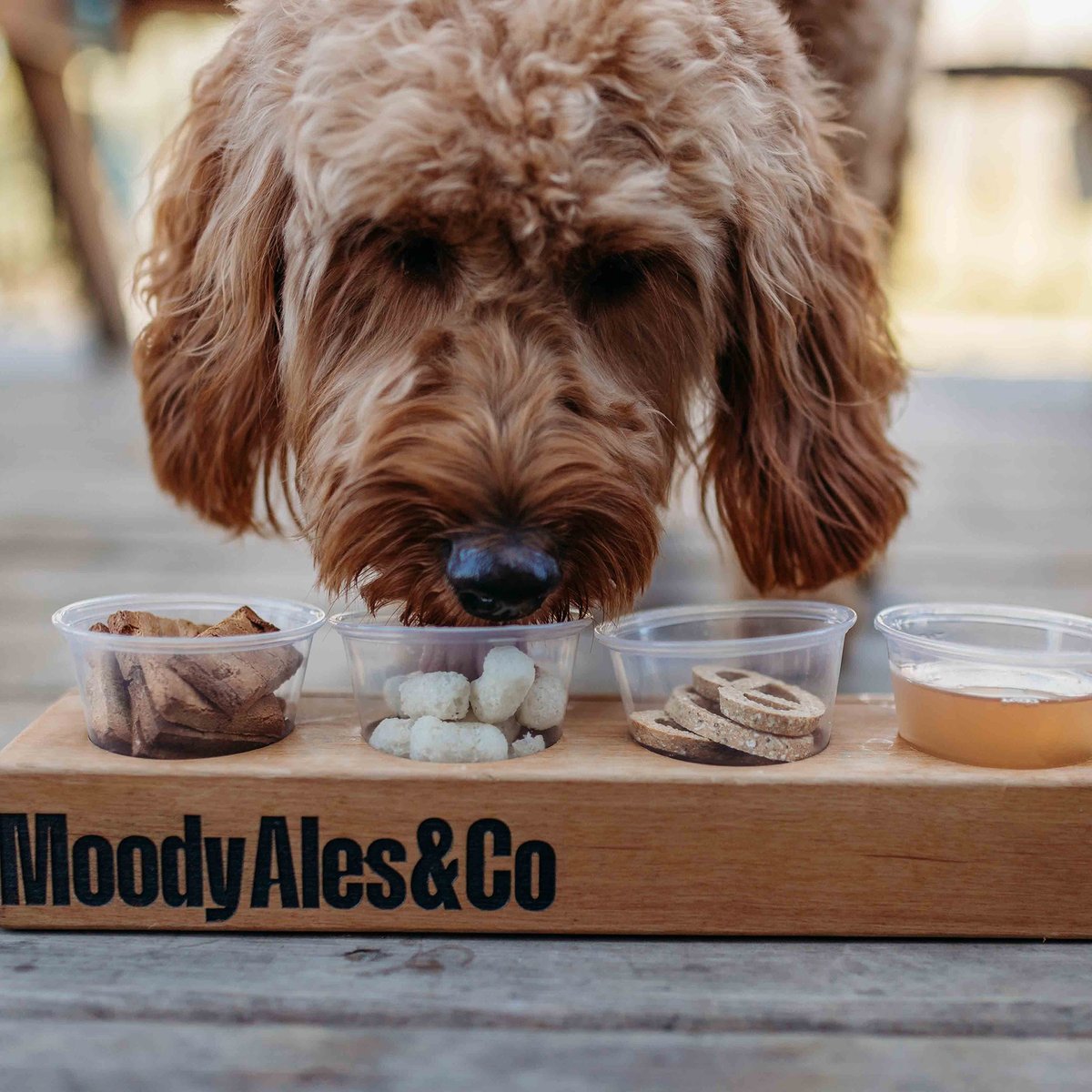 Moody Ales & Co tweet media