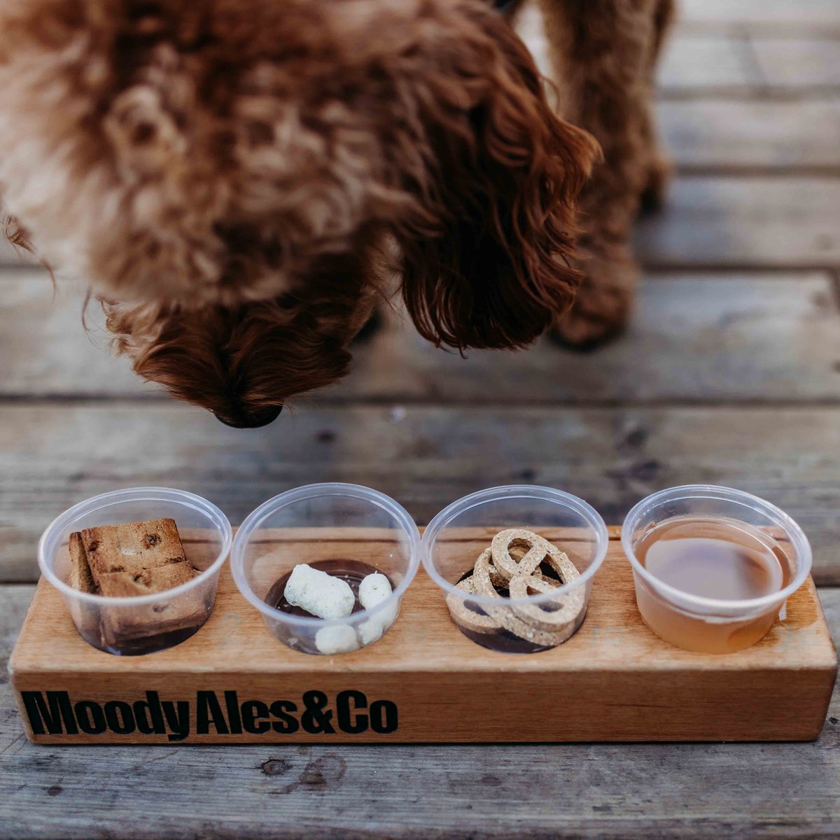 One round of pup flights please!