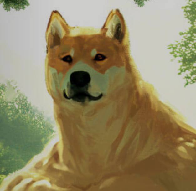 dogekong_'s tweet photo. #DOGEKONG is about to take the crypto jungle by storm! 🦍

Shoutout to our strong community. We appreciate everyone who has been with us since day 1, as well as those who have joined us recently. 

Let's make some noise in the comments and let the crypto jungle hear our roar! 🔥 https://t.co/eXWjBAia6a