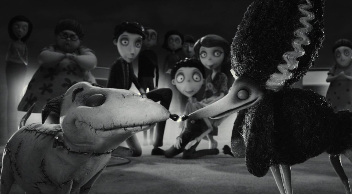 horrorlogy's tweet photo. frankenweenie (2012) https://t.co/PY6eJLpn9R