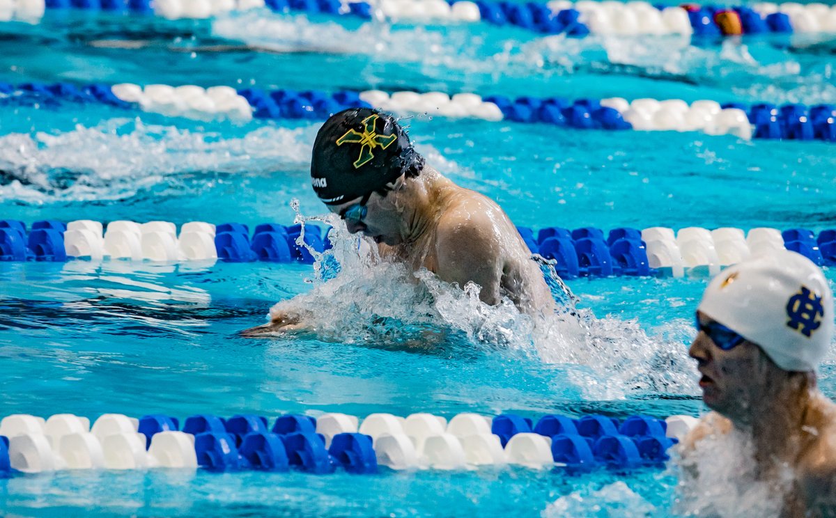 StXTigerSwim's tweet photo. The Tigers are lighting the pool on ๐ฅ in Lexington, and @cdumstorf @bisigimpact has the photos to prove it.
Pretty sure you're going to see plenty of those @arenausa podium jackets tonight...
#LookGoodSwimGood
#RiseAbove
#LetsGoGetThis https://t.co/FyeKwY8qwG