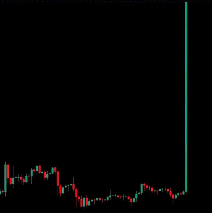 Buy &amp; HODL before the Big pump. 🚀

$SHIB $LEASH $BONE #Shibarium ✨