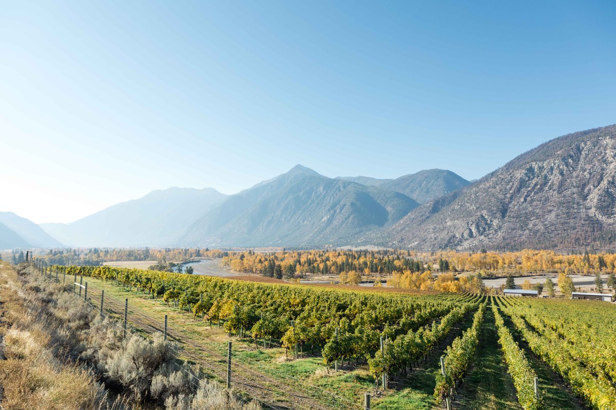 Each bottle of Sandhill wine is made with the best grapes from vineyard sites across the Okanagan Valley.

Each possesses a unique combination of soil composition, slope, sun exposure and drainage, providing us with the opportunity to create truly incredible wines.