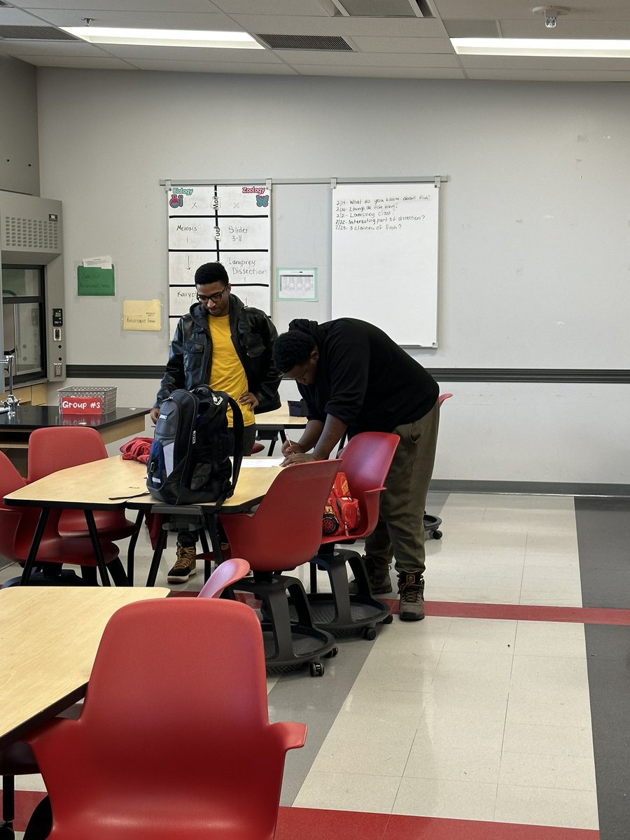 cottrellcorner's tweet photo. Today we were learning about the fish classes and decided to try a Find Someone Who.  #kagan #highengagement #juniorseniorzoologists #AAGV #vikingdiff https://t.co/QAD3nw48kj