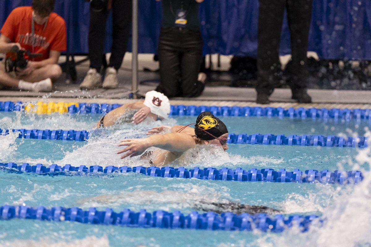 Finals bound ⏱️

Women's 200 fly - B final - Emily Roden
Men's 100 breast - C final - Logan Ottke, Darden Tate
Men's 100 back - B final - Sam Brown