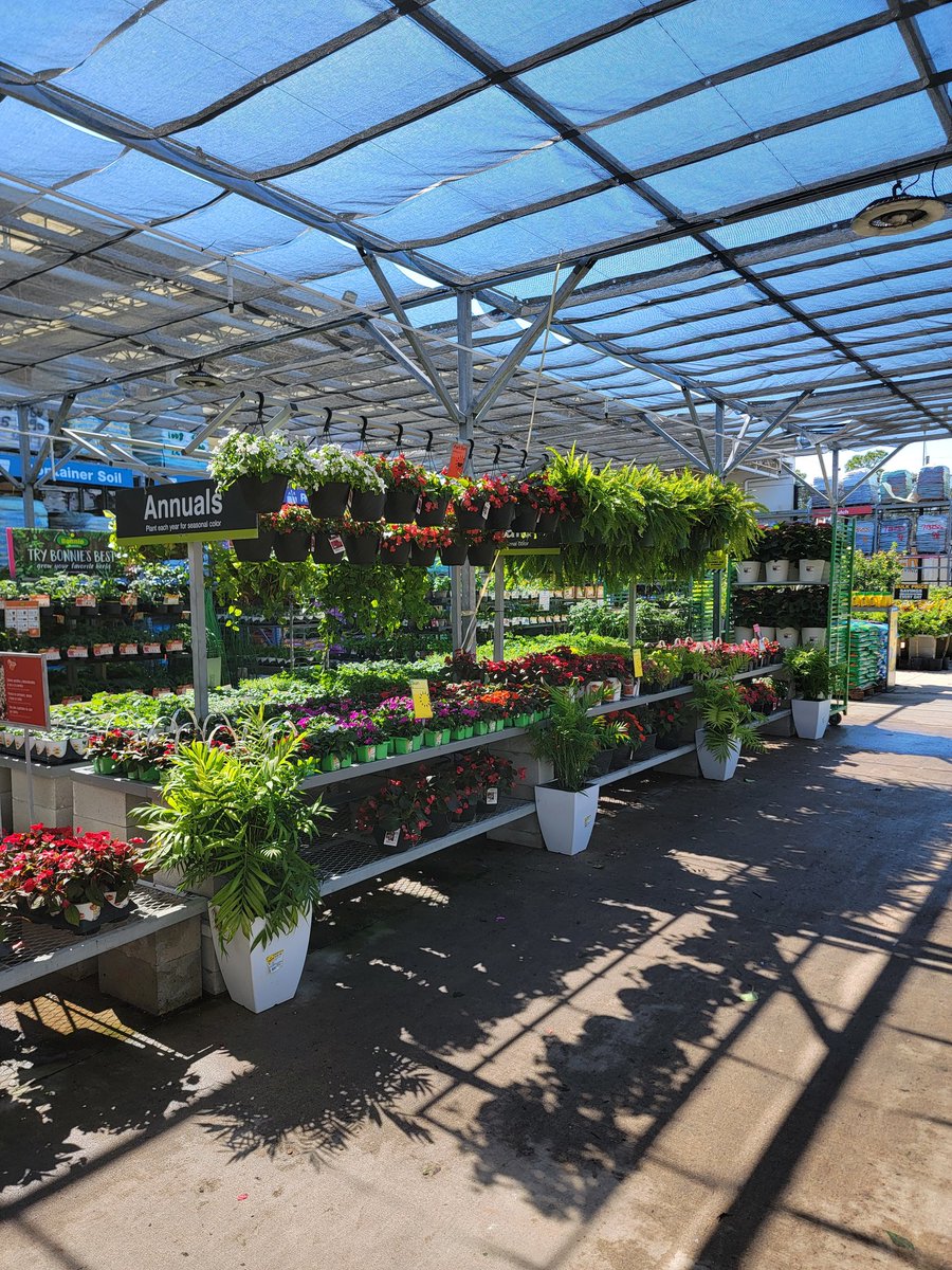 Gary Murphy tweet media