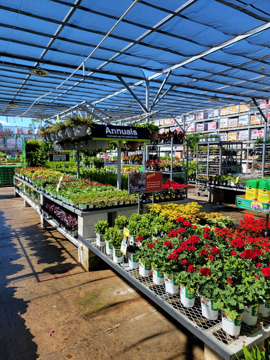 Gary Murphy tweet media