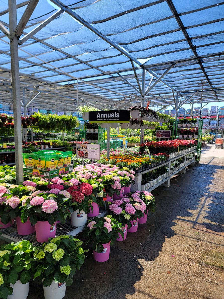 Gary Murphy tweet media