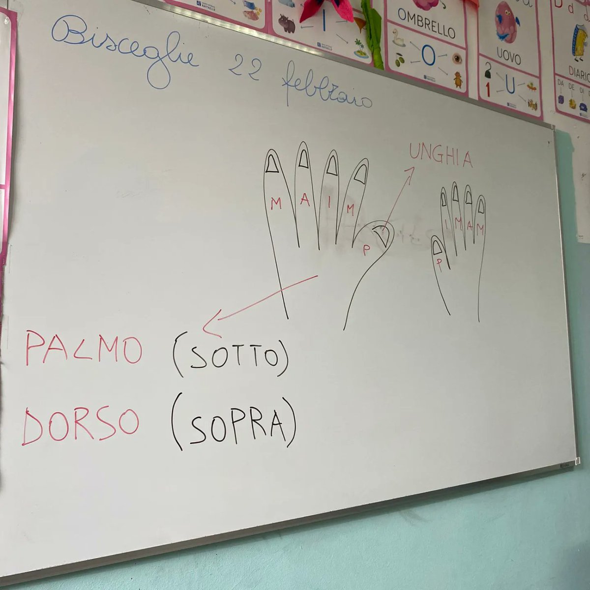 Erasmus San Vicente de Paúl tweet media