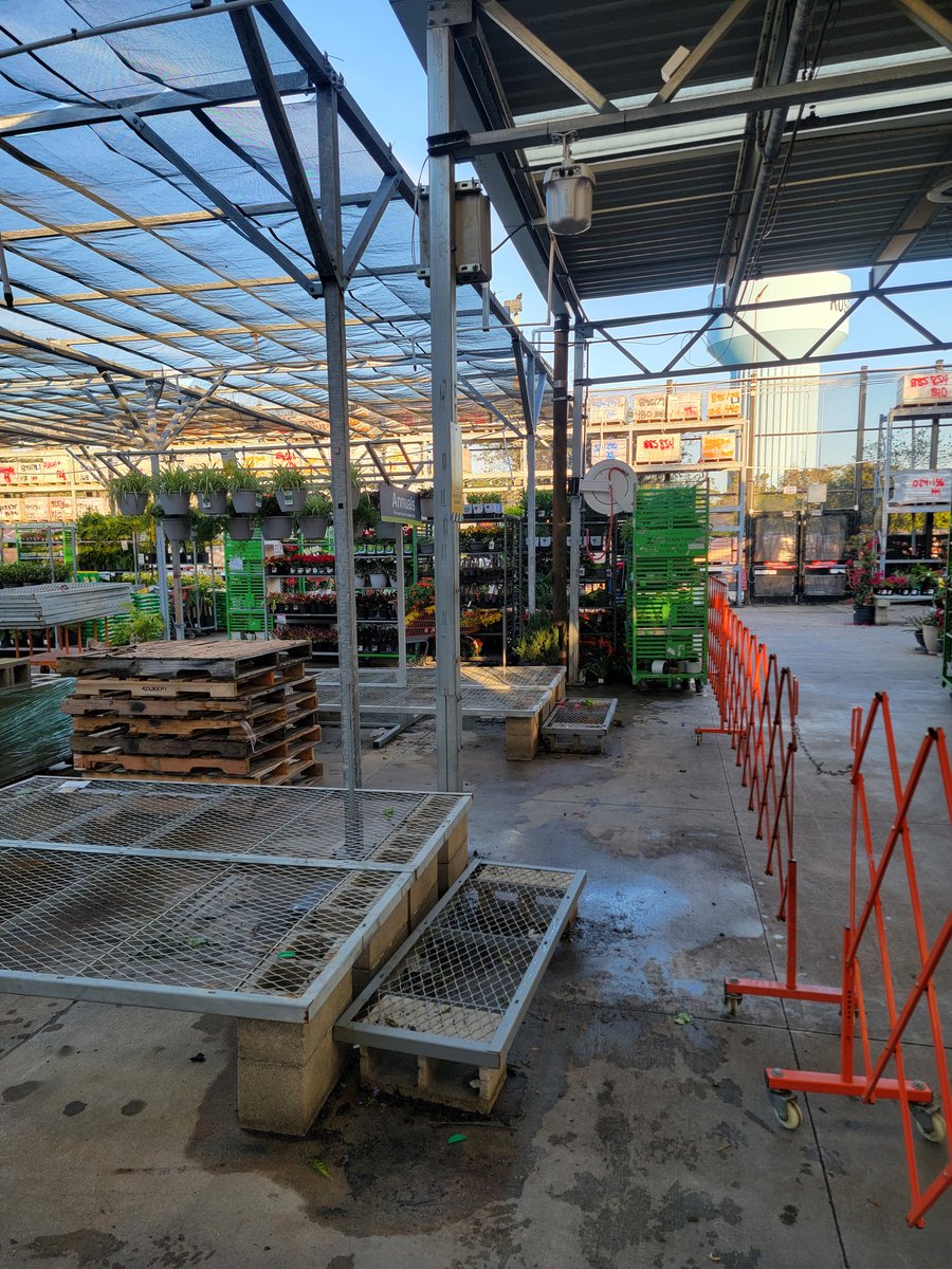 Gary Murphy tweet media