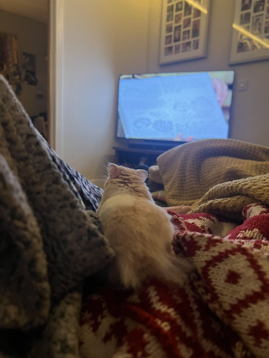 earlyyears2022's tweet photo. tv with my bestie #hamster #harry #friend #cute #pals #fridaynightin #greatpotterythrowdown https://t.co/ACRUqhUKva