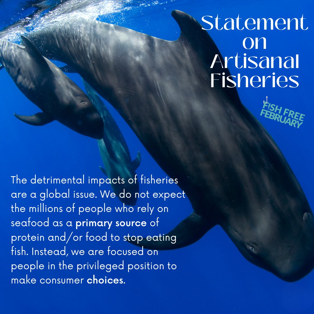 beleafvegan's tweet image. 🌊 Important message from #fishfreefebruary on the campaign's intended audience! 🌊