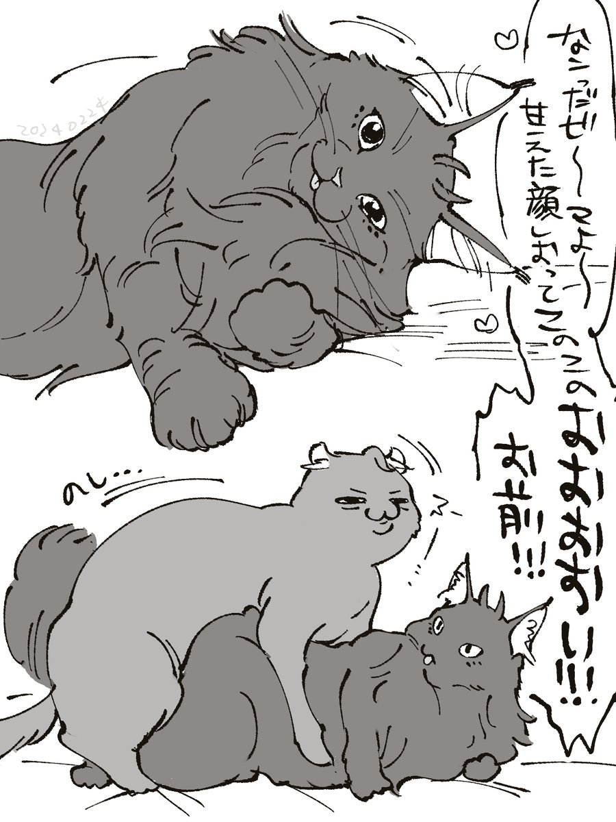 ここは毎日ねこのひ 