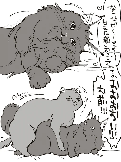 ここは毎日ねこのひ 