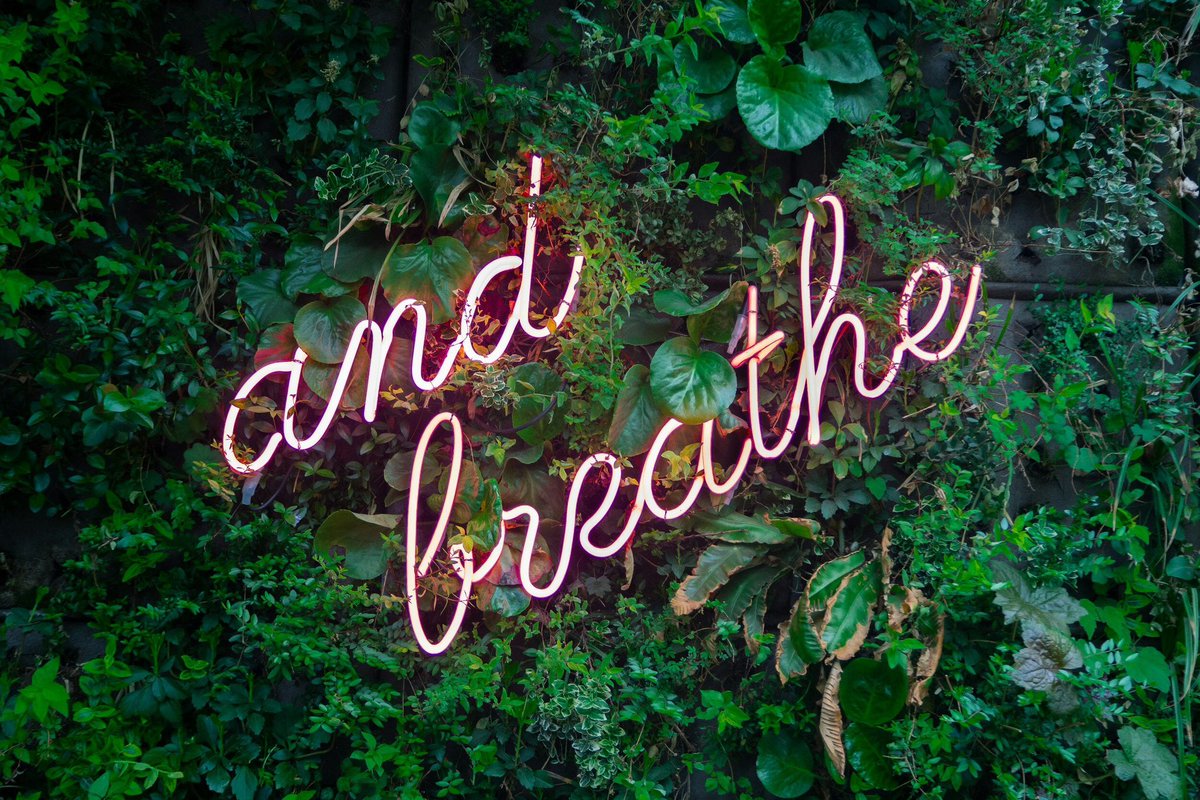 FurneauxKatie's tweet photo. My website has had a revamp! Take a peek.
https://t.co/51ocWkLPS2
#newwebsite #hypnotherapy #nlp #health #holistic #mindreboot #alcohol #smoking https://t.co/a4k3t8rt9A