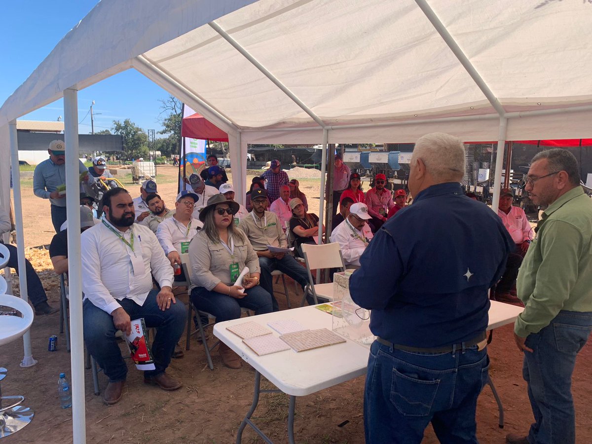 Hub_PACNorte's tweet photo. Expo Agro Sinaloa 2024 continúa y nosotros aquí seguimos! 🌽 en la parcela demostrativa de Agricultura de Conservación  (CIMMYT) 🌱🌽
Te esperamos! https://t.co/xAMqT1n1IQ