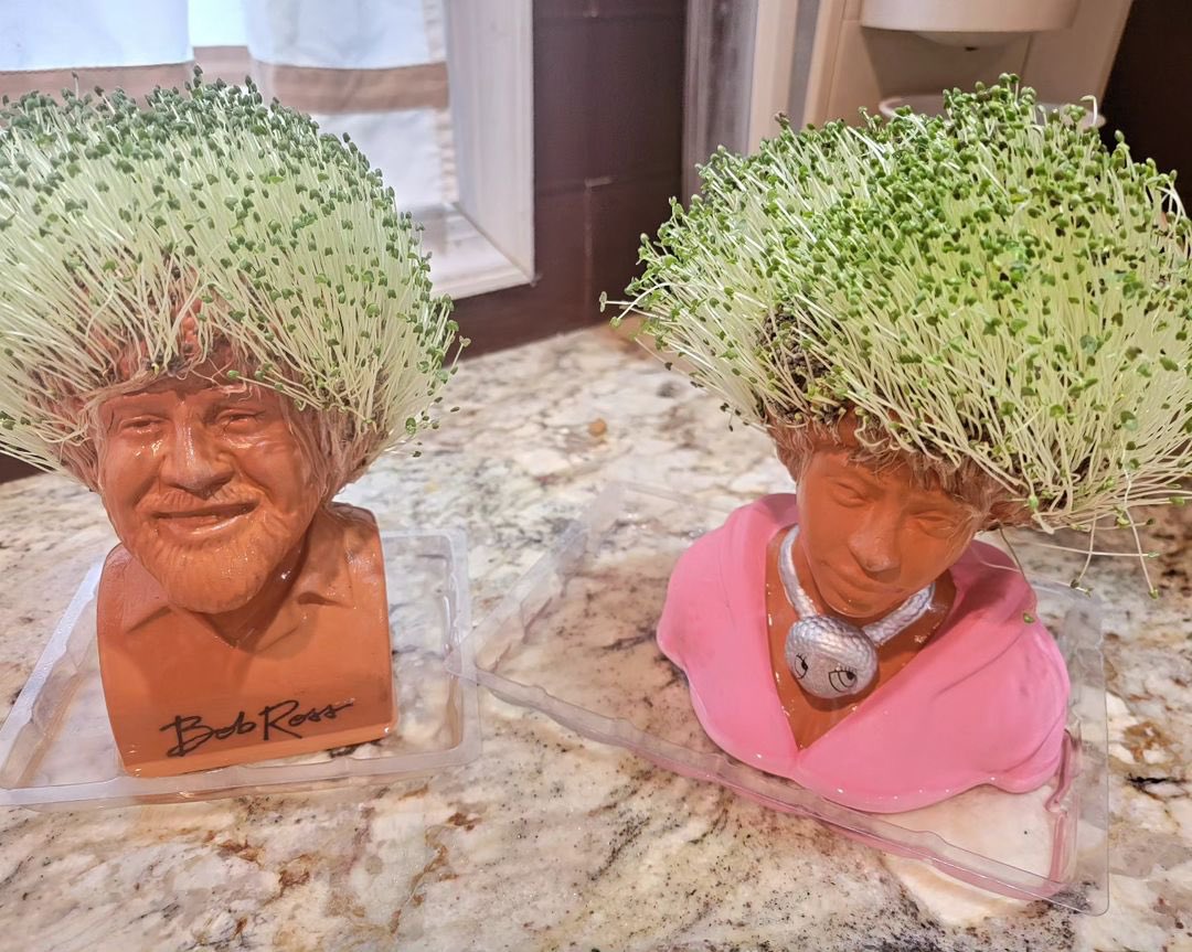 ChiaPetOfficial's tweet image. Did somebody say... hair goals?! 🤩😍🌱

📸 @the_sunset_driver2343 (IG)

@icespicee_ #chiapet #icespice #bobross #hairgoals #plants #plantmom #plantdad #plantinspo #plantgoals