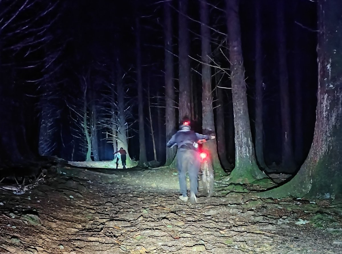 Prof. Dom Eggbeer tweet media