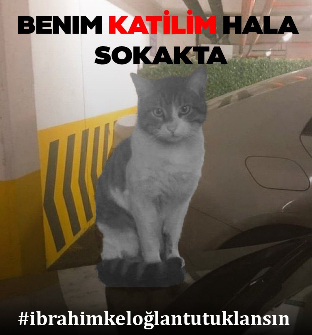 Adalet bakanlığından açıklama gelmişti peki tutuklama neden gelmedi ? 
 
Hep birlikte soralım 👇🏻 #NeZamanTutuklanacak <a href="/adalet_bakanlik/">T.C. Adalet Bakanlığı</a> 
#ibrahimkeloğlanTUTUKLANSIN