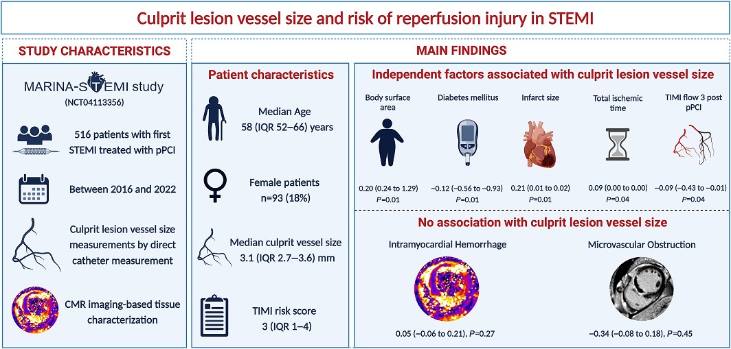 JAHA (@jaha_aha) on Twitter photo Culprit lesion vessel size is not a factor in myocardial tissue reperfusion failure in #STEMI: findings from a cardiac magnetic resonance imaging study. #AHAJournals <a href="/lechner_i/">Ivan Lechner</a> <a href="/ReinstadlerSJ/">Sebastian J Reinstadler</a> @imed_tweets ahajrnls.org/49s0IgW Culprit lesion vessel size is not a factor in myocardial tissue reperfusion failure in #STEMI: findings from a cardiac magnetic resonance imaging study. #AHAJournals <a href="/lechner_i/">Ivan Lechner</a> <a href="/ReinstadlerSJ/">Sebastian J Reinstadler</a> @imed_tweets ahajrnls.org/49s0IgW