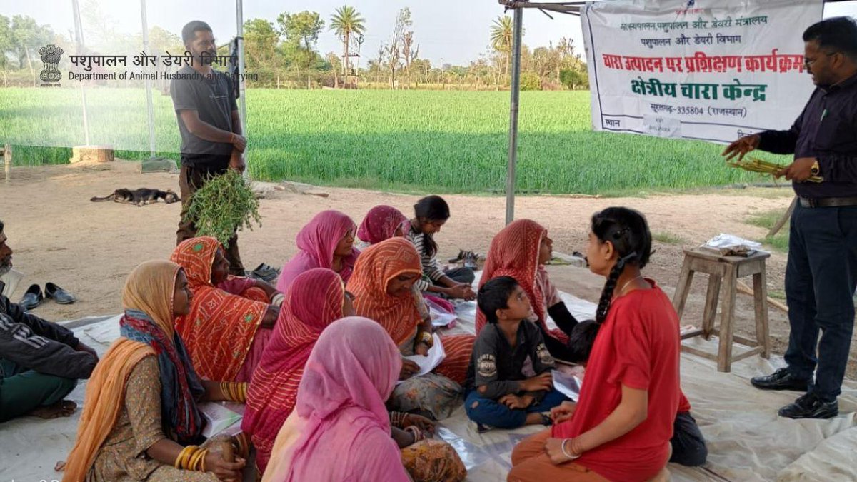 Dept_of_AHD's tweet photo. The Farmers Training Programme and field demonstration organized by the Regional Fodder Station Suratgarh in collaboration with @kvkswmand, @BhilwaraKrishi, Rajasthan, aimed to enhance agricultural productivity and sustainability in the region, particularly in #fodderproduction. https://t.co/XVHfglvZJS