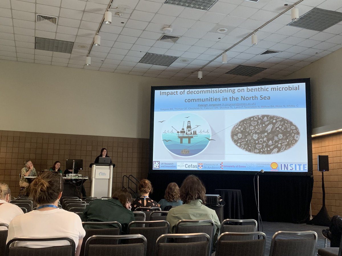 ocean_alice tweet media