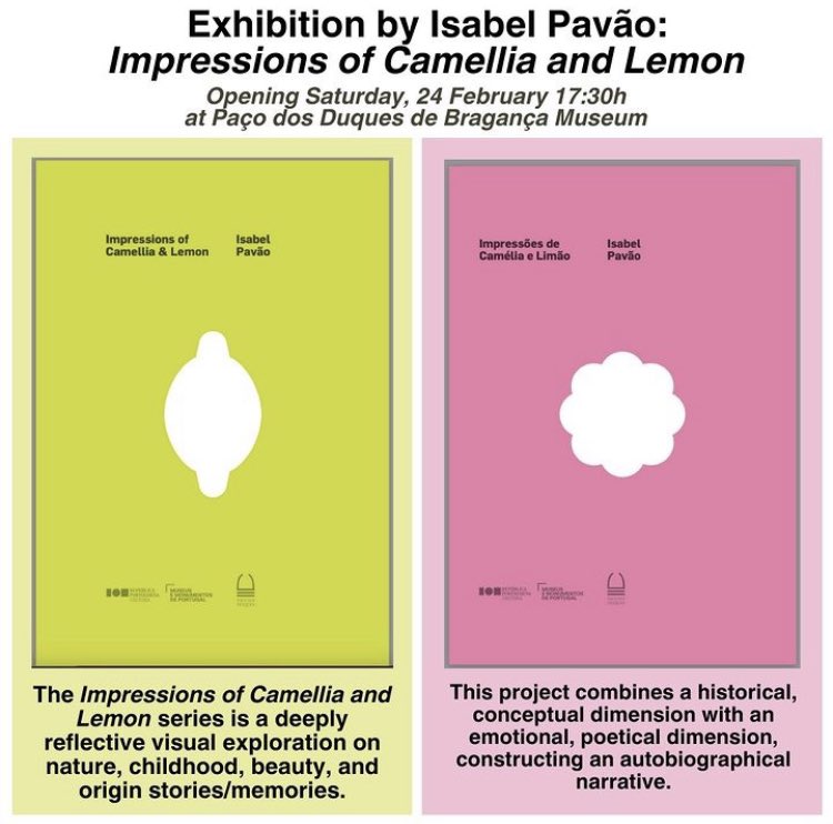 tanenbaumbooks's tweet photo. For those in Porto 🇵🇹: Isabel Pavão will be exhibiting her "Impressions of Camellia and Lemon" series at Paço dos Duques de Bragança Museum. 🌺🍋

This exhibition opens Saturday, 24th February at 17:30h. https://t.co/GSQtnpXC6G