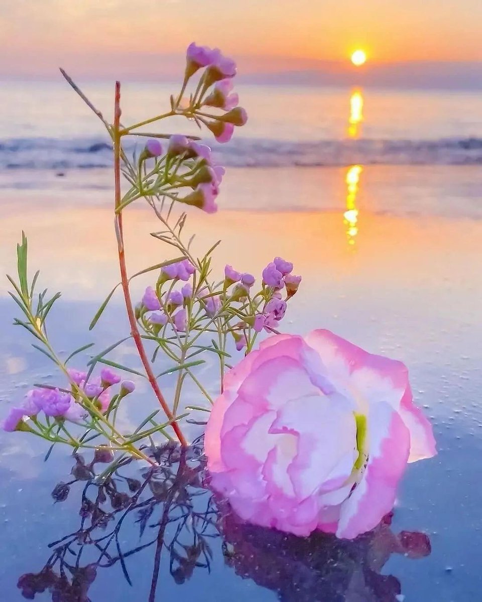 Bacha_Jamoora's tweet photo. رات تو کیا پوری زندگی جاگ کر گزاروں گی
تو بس کہہ تو سہی کہ تجھے میرے بنا نیند نہیں آتی
Good Night
#حرمین
#Harmain
#GoodNightTwitterWorld https://t.co/p6DaXkxaSK