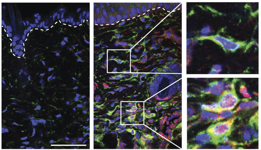 Waggoner Lab tweet media