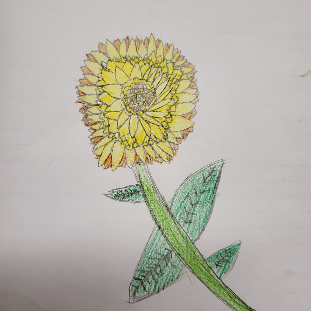 Belle Vue Primary & Nursery School tweet media