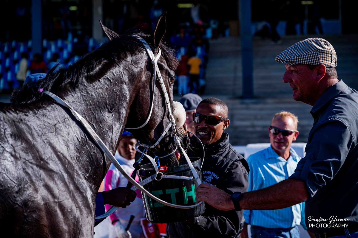 NMB_racing's tweet photo. 🏇 #FAIRVIEW 23 February - RACE 8 🏇

Winner ⭐THE WINTER LAKE⭐ (What A Winter - Maureen De Lago)
Owner: Messrs B J Fegen, H Adams &amp; G D Smith
Breeder: Nadeson Park Stud
Trainer: Gavin Smith
Jockey: Muzi Yeni

#TAB4Racing #4racing #TAB #theoriginaltote #horseracing #betting https://t.co/7pcNRmbSEI