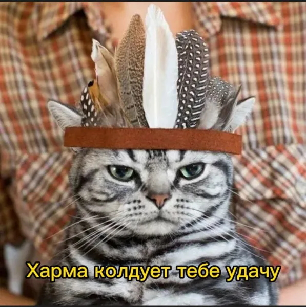 krokocoin's tweet photo. #NFTs #Zealy #Memes #HareCrypta #HareCryptaFun https://t.co/GGWgbrsE8l