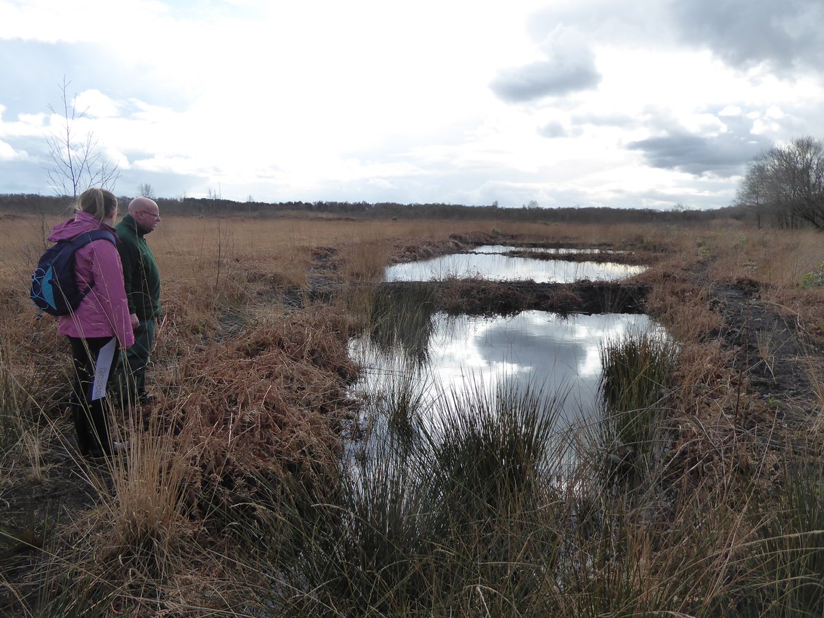 Fantastic afternoon at Risley Moss, a restored lowland bog near Manchester. Setting up sampling plans for new PhD student Laura - lots of exciting work on GHGs and peatland pools to come! #PeatTwitter