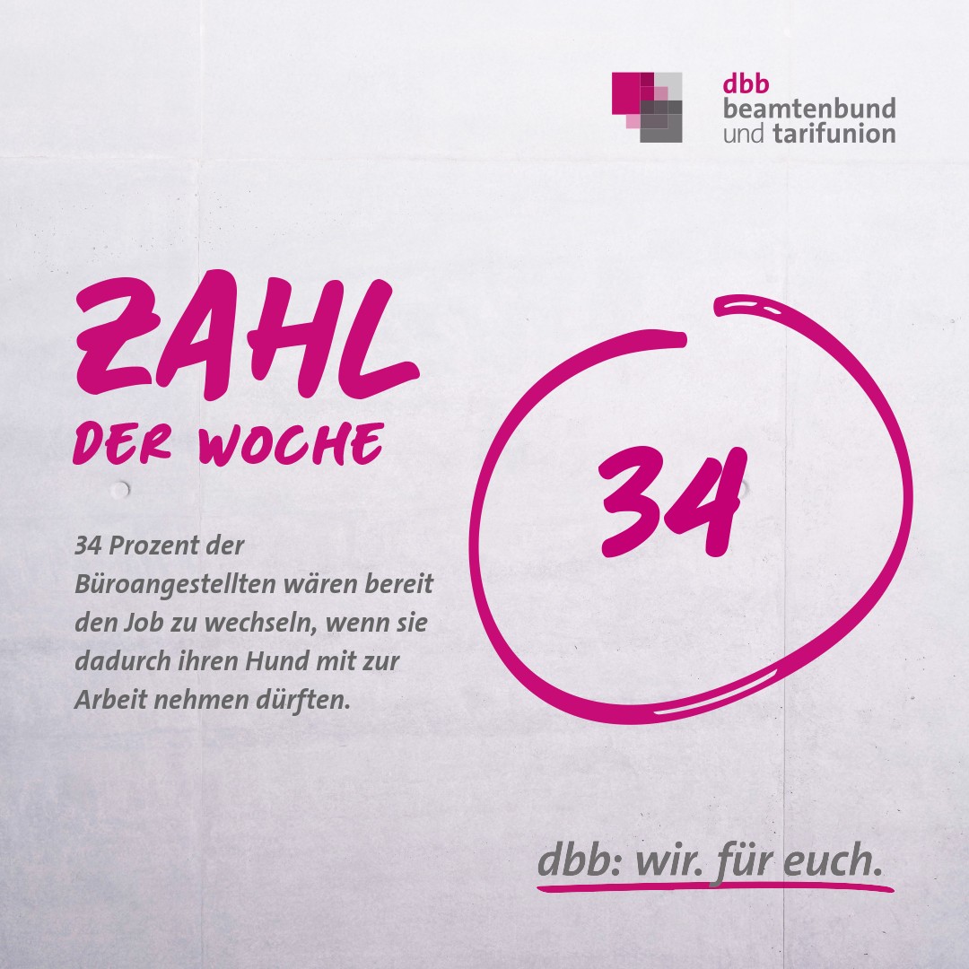 🐾🏢 Hunde am Arbeitsplatz? Die Berliner CDU und SPD haben gefordert, eine Muster-Dienstvereinbarung für Regelungen zum Mitbringen von Hunden im öffentlichen Dienst auf den Weg zu bringen.

🤔 Wie steht Ihr zu Bürohunden?

#Bürohund #öffentlicherDienst #Stressminderung