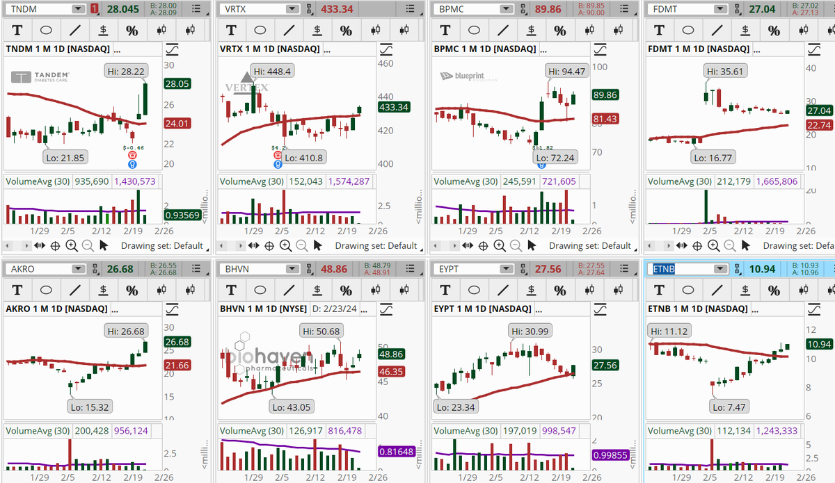 ConnieHillCS's tweet photo. Health Care sector stocks are prominent in our Early Morning Movers Bullish scan. Some examples, not recommendations are: #TNDM, #VRTX, #BPMC, #FDMT, #AKRO, #BHVN, #EYPT, #ETNB. Let's see how well the momentum holds today. https://t.co/cgYB7rQlFQ