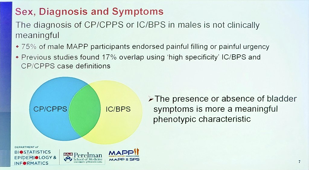 Important to ask men with chronic #pelvicpain if they have bladder symptoms e.g. painful filling or painful urgency

#SUFU24