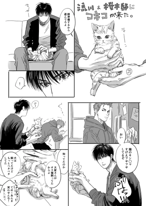 流花と🐱チャン 