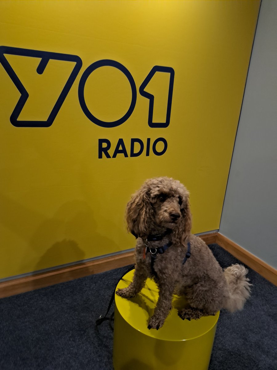yorkshirejune's tweet photo. Thank you to @thisisyo1 Radio for enabling me to record a Community ad promoting the fact that @HearingDogsYork  are currently recruiting new Volunteer puppy trainers .
For more information visit https://t.co/ZMyTgypZh3  contact volunteer@hearingdogs.org.uk or phone 01844 348129 https://t.co/xD40c8mLaG