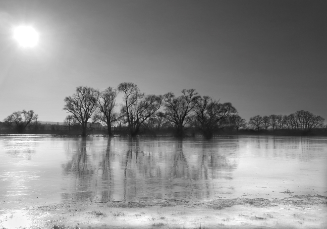TwoJost's tweet photo. Enjoy your Friday! π€π€
My first piece on @exchgART
"FROZEN"
A place of silence...
#photography #blackandwhite #monochrome #Solana #nftart #nature #Genesisweb3
1/1
0.4 SOL
https://t.co/kxFMeBb8VF https://t.co/DYMn0JfLwB