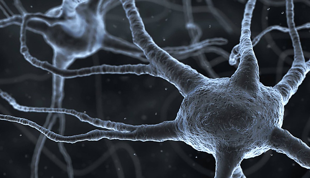 New CAMH-led research in <a href="/CommsBio/">Communications Biology</a> shows targeting specific brain cells could be a game-changer for treating depression. By simulating pharmacology effects in humans, scientists are getting closer to more effective treatments. 

⬇️MORE:
doi.org/10.1038/s42003…