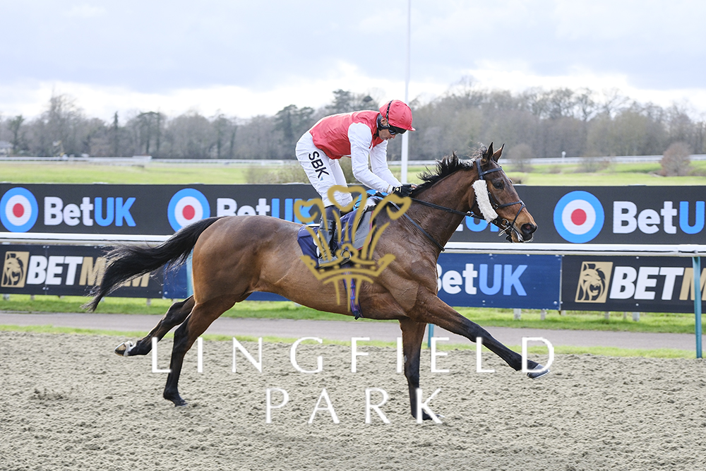 RACE 3 WINNER - @BetUKOfficial Home Of The Acca Classified Stakes Velvet Vulcan 🏆 Jockey: @LeveySean Trainer: Mike Murphy & @MKeadyRacing Owner: Sarabex #LingfieldPark