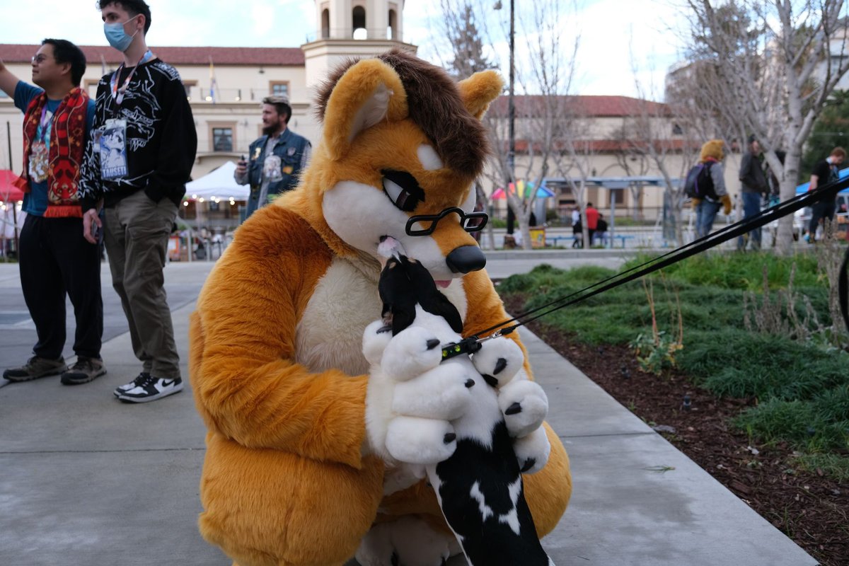 Doggo meets tiny doggo. 🐕
#FursuitsFriday 

🪡: <a href="/WaggeryCos/">Waggery Costumes</a> 
📸: <a href="/DaruinDasan/">Daruin</a>