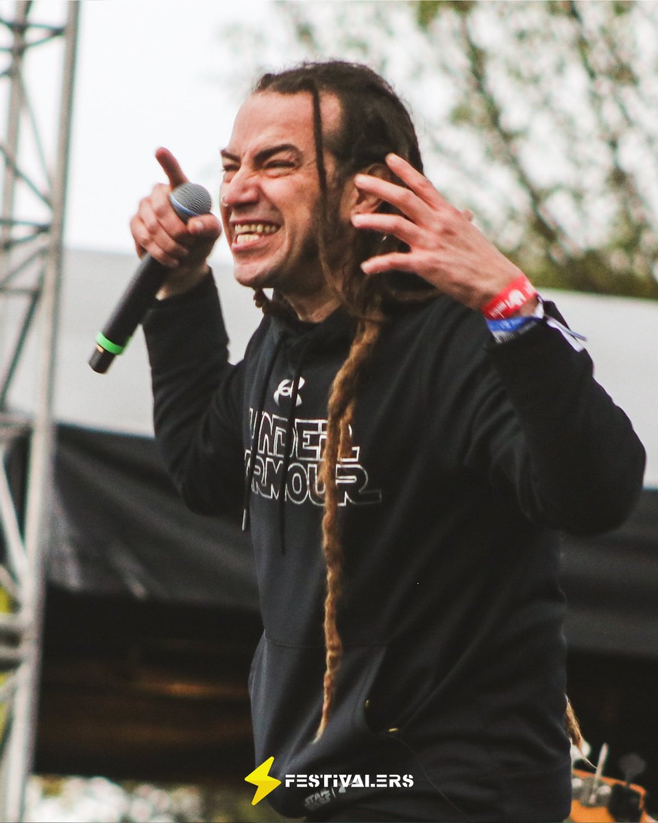 Los Festivalers tweet media