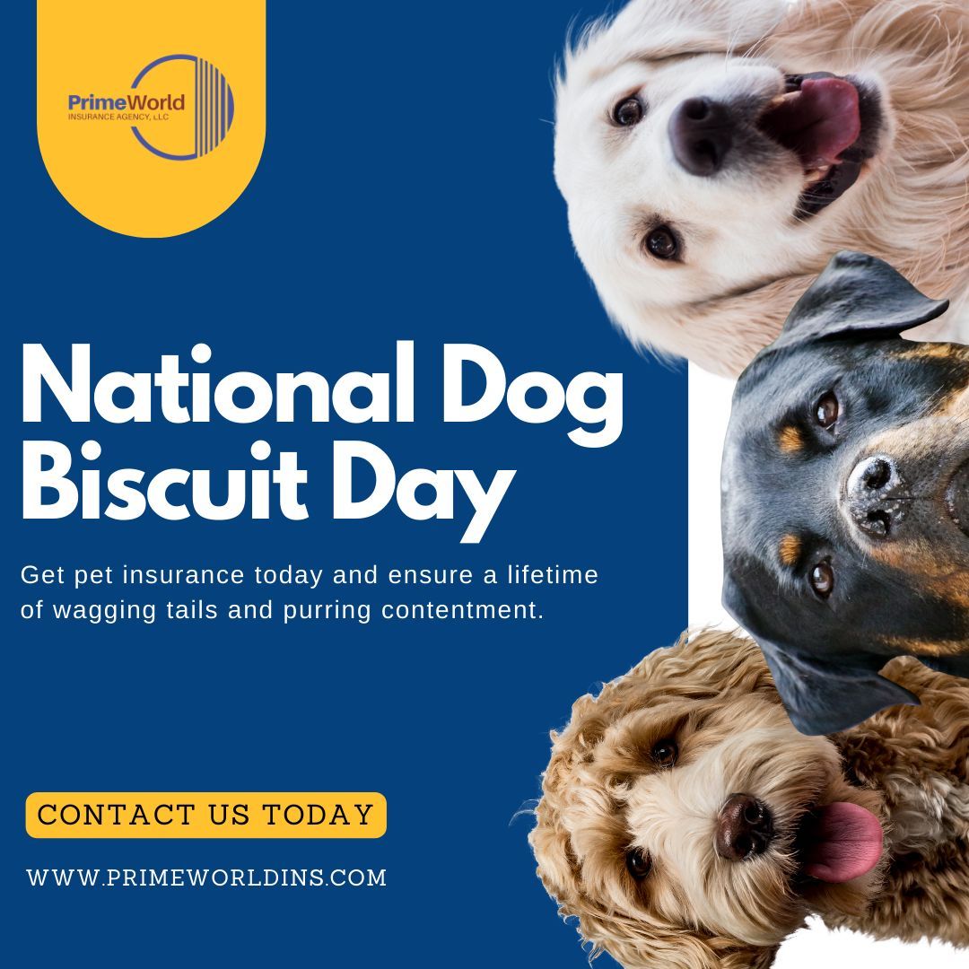 PrimeWorldIns's tweet image. Celebrate National Dog Biscuit Day with your pup! Spread joy and love with PrimeWorld Insurance Agency. #PrimeWorldInsurance #DogBiscuitDayCelebrate